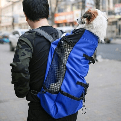 Sac Ă  Dos pour Chien - PetBackpackâą - Bleu - Galaxie Des Chiens