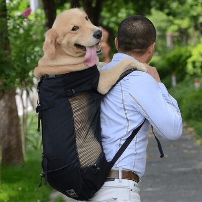 Sac à Dos pour Chien - PetBackpack™ - Noir - Galaxie Des Chiens