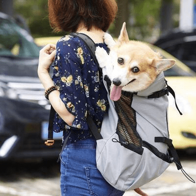 Sac à Dos pour Chien - PetBackpack™ - Gris - Galaxie Des Chiens