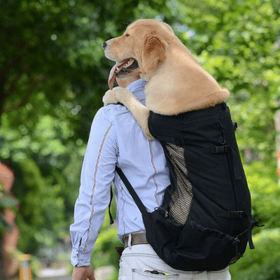Sac à Dos pour Chien - PetBackpack™ - Noir - Galaxie Des Chiens