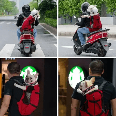 Sac à Dos pour Chien - PetBackpack™ - Rouge - Galaxie Des Chiens