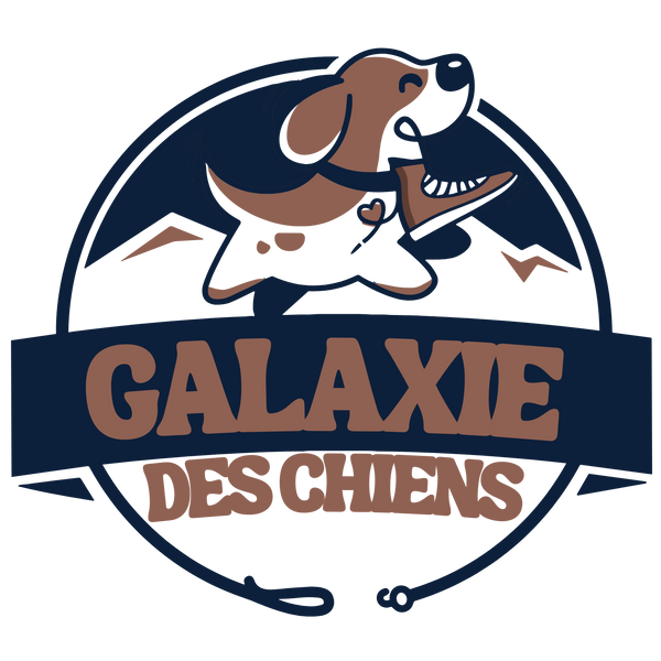 Galaxie Des Chiens