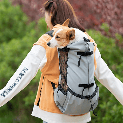 Sac à Dos pour Chien - PetBackpack™ - Gris - Galaxie Des Chiens