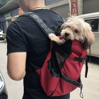 Sac à Dos pour Chien - PetBackpack™ - Rouge - Galaxie Des Chiens