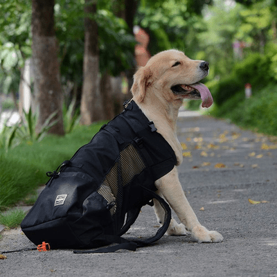 Sac à Dos pour Chien - PetBackpack™ - Noir - Galaxie Des Chiens