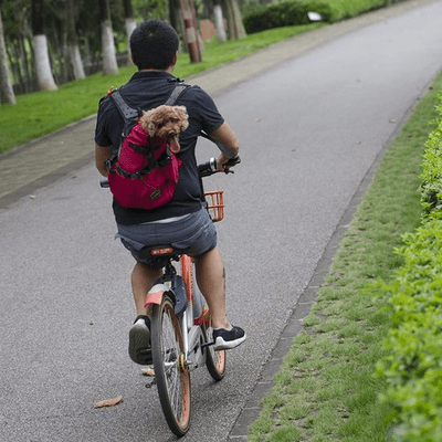 Sac à Dos pour Chien - PetBackpack™ - Rouge - Galaxie Des Chiens