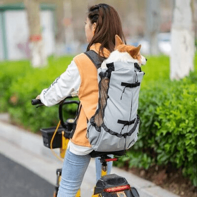 Sac à Dos pour Chien - PetBackpack™ - Gris - Galaxie Des Chiens
