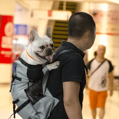 Sac à Dos pour Chien - PetBackpack™ - Gris - Galaxie Des Chiens